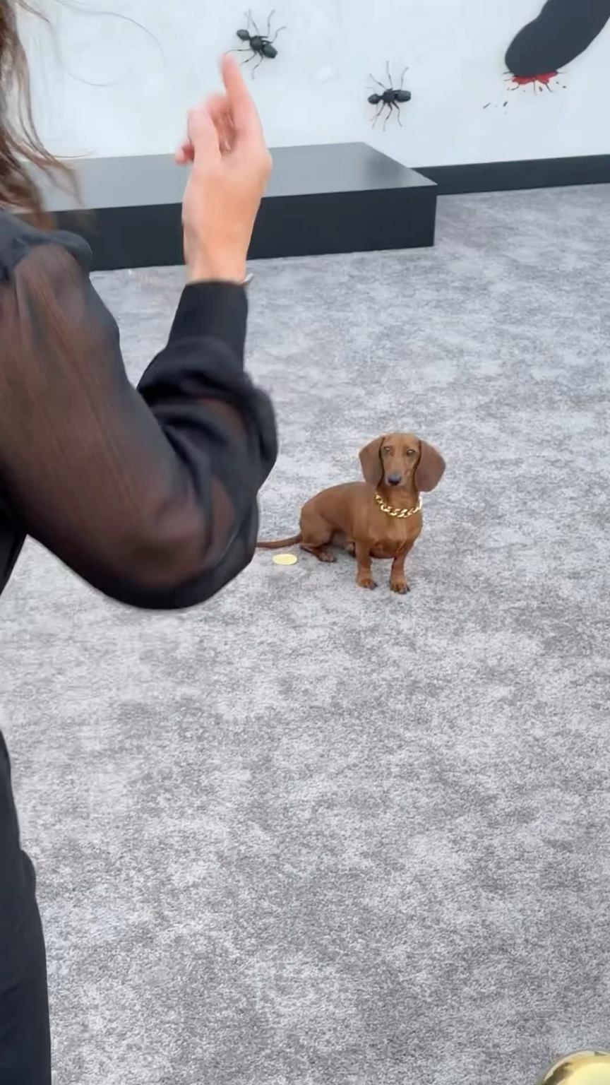 Jones stuns at the Season 2 premiere of Beef