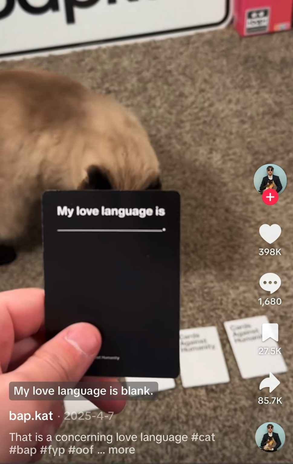 Meet Noelle, the world’s best Cards Against Humanity player (and also a cat)