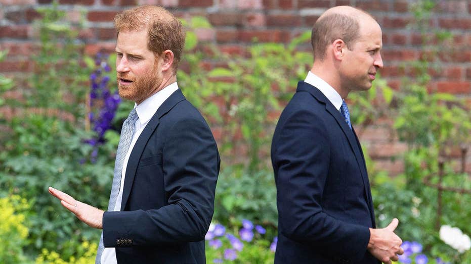 Prince William’s ‘ruthless side’ emerges as he views Prince Harry as ‘untrustworthy’: experts