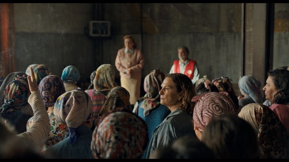 'Quo Vadis, Aida?' Director Sets Sequel of Oscar-Nominated Film