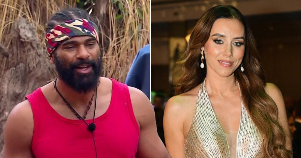 David Haye's famous ex speaks out after 'throuple' claim and I'm A Celebrity backlash