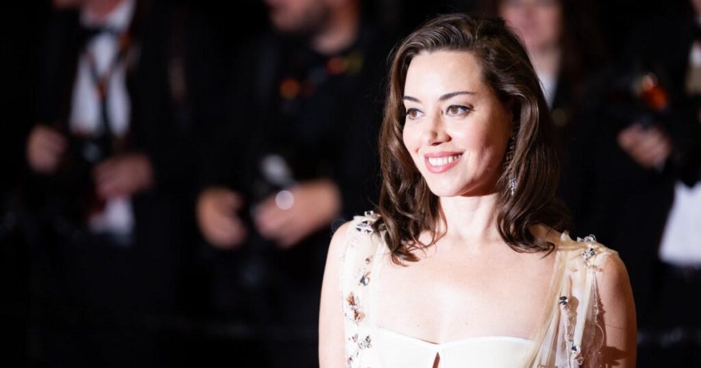 Aubrey Plaza, 41, pregnant one year after husband’s death in ‘beautiful surprise’