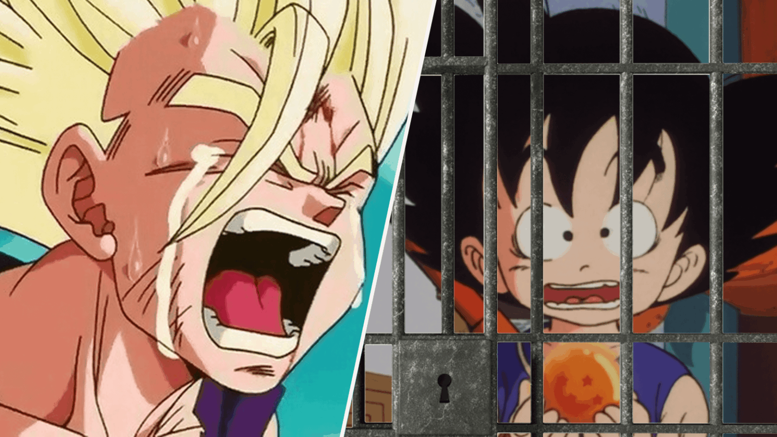 Dragon Ball's Official Voice of Goku & Gohan, Stephanie Nadolny Jailed for Property Theft