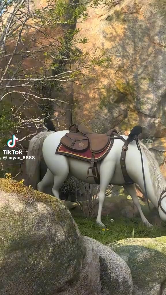 Magpies strike again at Tokyo DisneySea