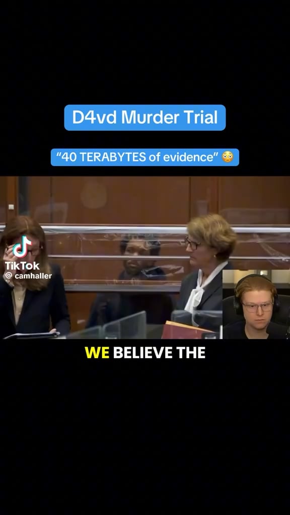 It took so long to charge D4Vd because prosecutors have 40 TERABYTES of evidence against him