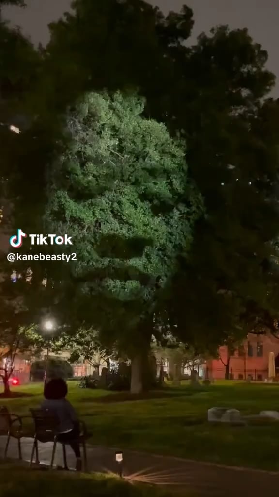 This is 'Monuments', an art installation in Charlotte, NC. Artist Craig Walsh put a face in the trees to honor the souls of all the enslaved people buried in cemeteries with no names.