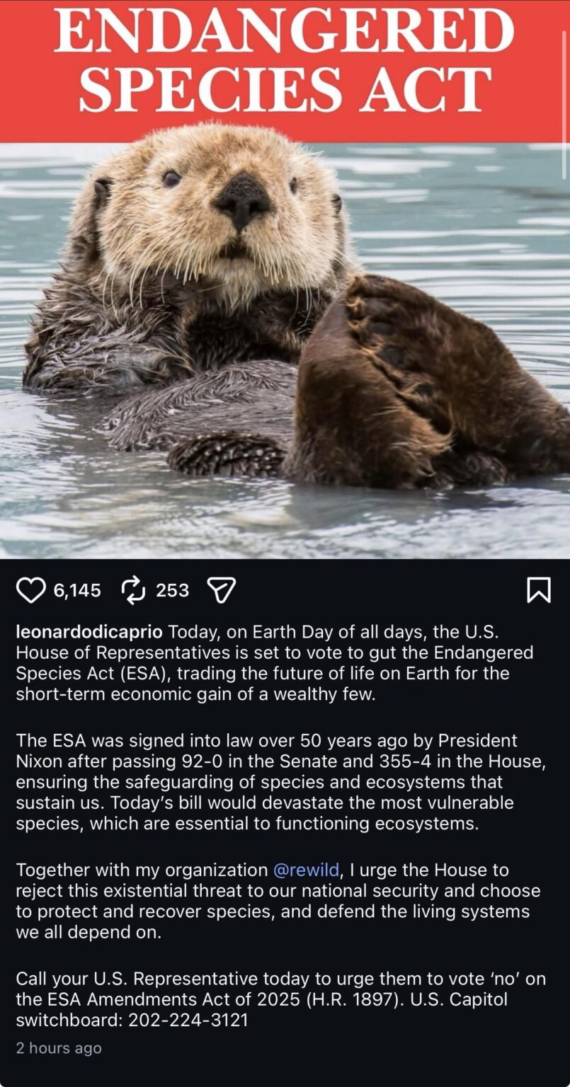 Leonardo DiCaprio calls on people to call their U.S. representatives to vote against cutting the Endangered Species Act