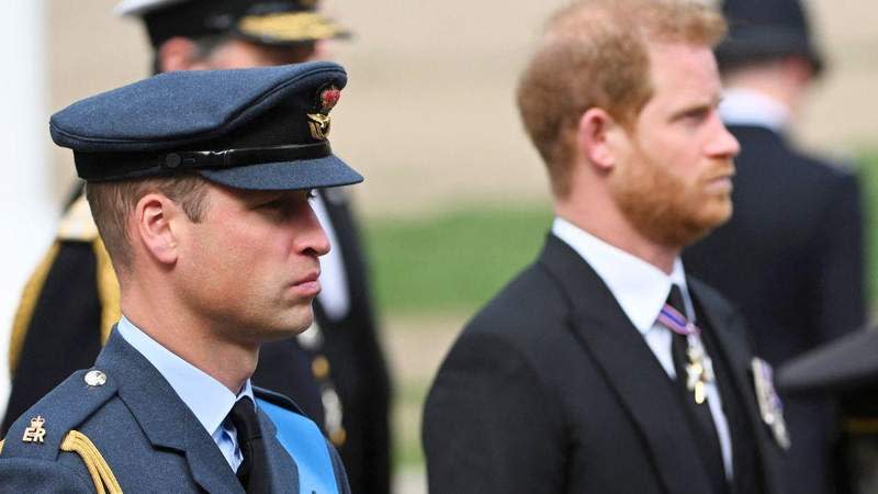 The Duke of Sussex previously described himself as a 'shadow' and 'Plan B' in his memoir.MEGA