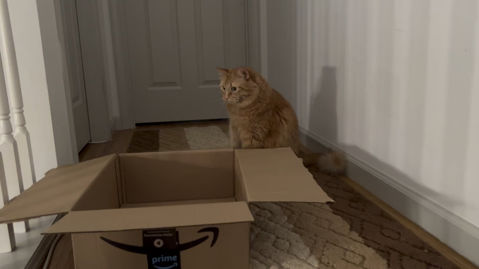 My Orange, Mickey, and his drum skills