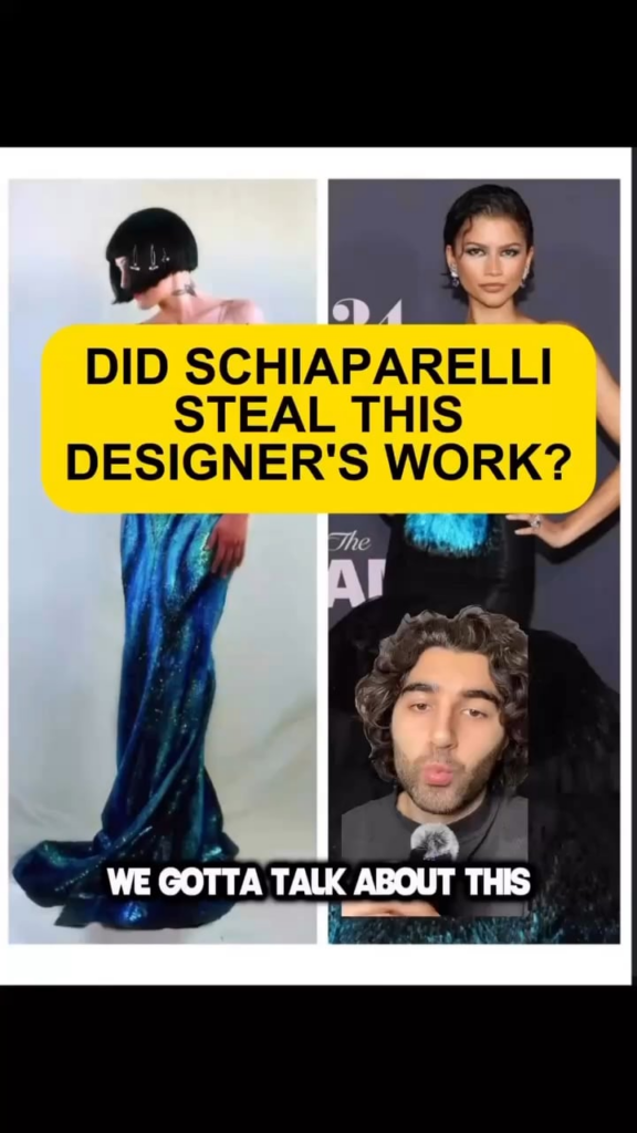 The similarities between Ben Tam's dress and the Schiaparelli piece Zendaya wore are hard to ignore. He literally worked there, sent them a portfolio with a similar dress in it, and almost a year later a piece with a very similar body, colour, and feel ends up on the red carpet.