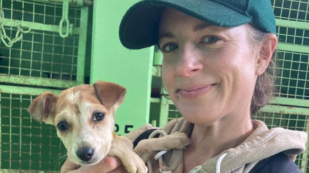 Why I gave up interviewing celebrities to rescue street dogs in India in midlife – and you can too Why I gave up interviewing celebrities to rescue street dogs in India in midlife - and you can too
