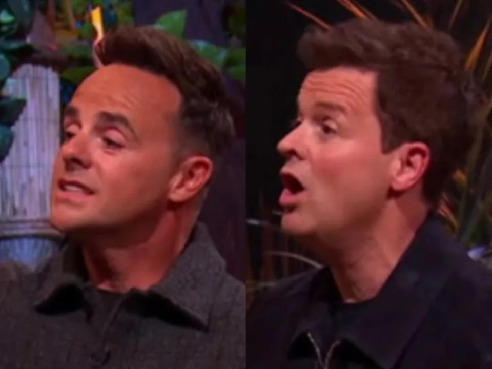 Hosts Ant and Dec struggled to keep the peace on ‘I’m a Celebrity: South Africa’ final (ITV)