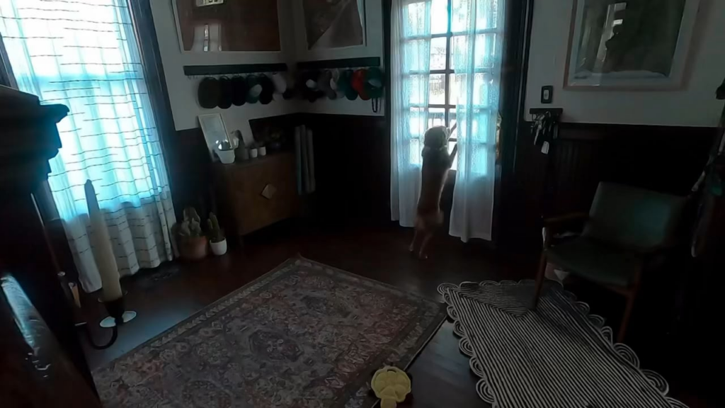 Astronaut Christina Koch reunites with her dog after Artemis II mission