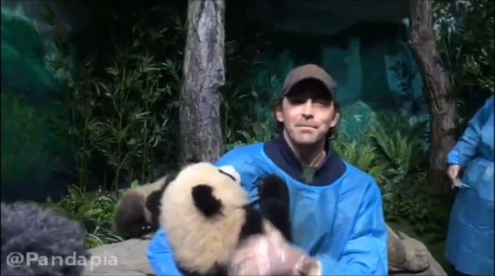 Lee pace holding baby pandas and snuggling them