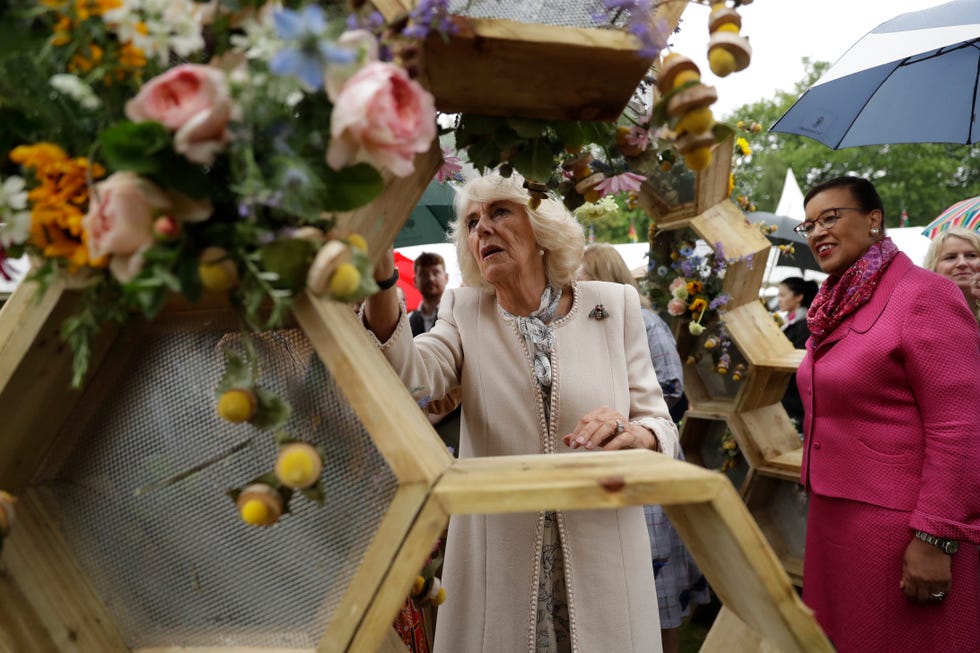 The Duchess Of Cornwall Attends The Bees For Development Garden Party