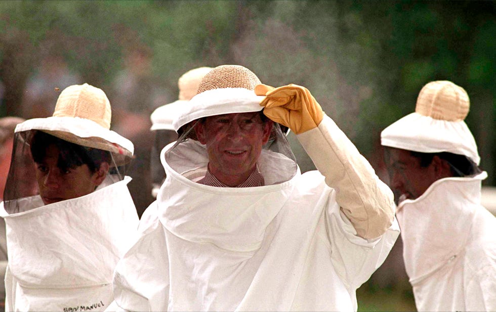 Charles In Bee Keeper Suit