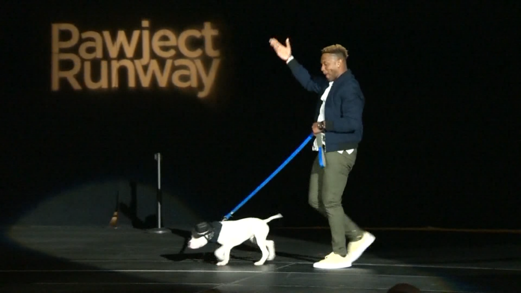 'Pawject Runway' brings adoptable pets, celebrities to Baltimore