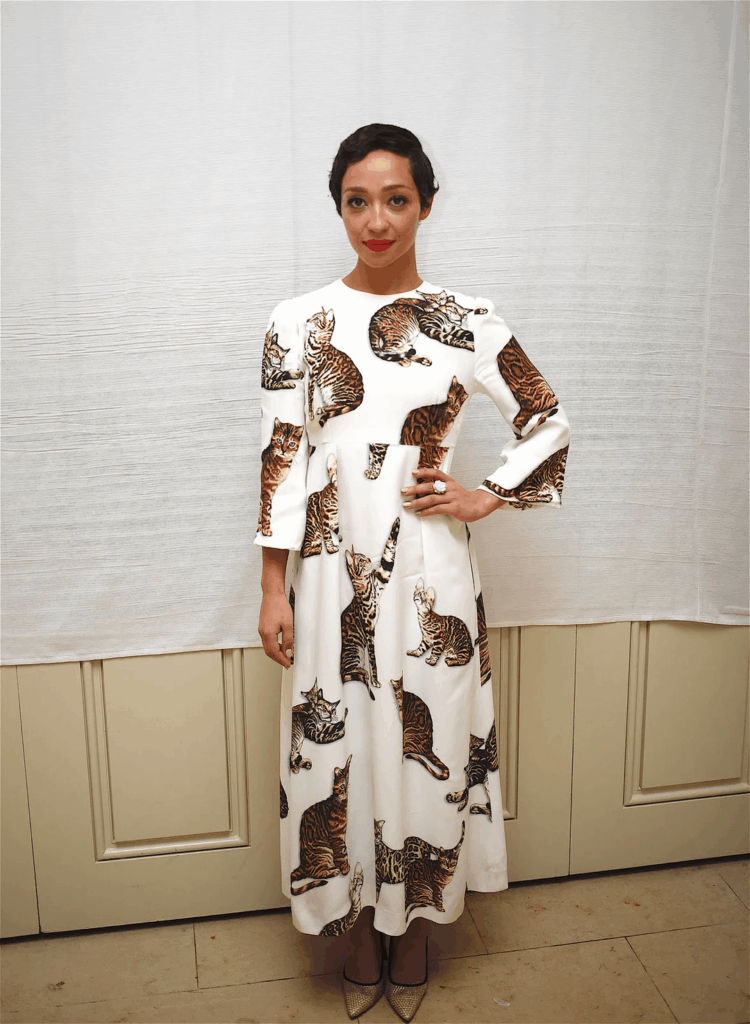 Celebs wearing cat print outfits