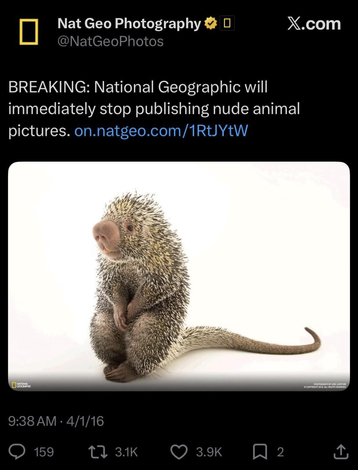 Today marks the 10 year anniversary of National Geographic banning indecent photos of animals, including cats