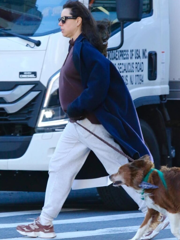 Aubrey Plaza spotted on a walk with her dog in NYC, a day after confirming her pregnancy with partner Christopher Abbott. (April 8, 2026)