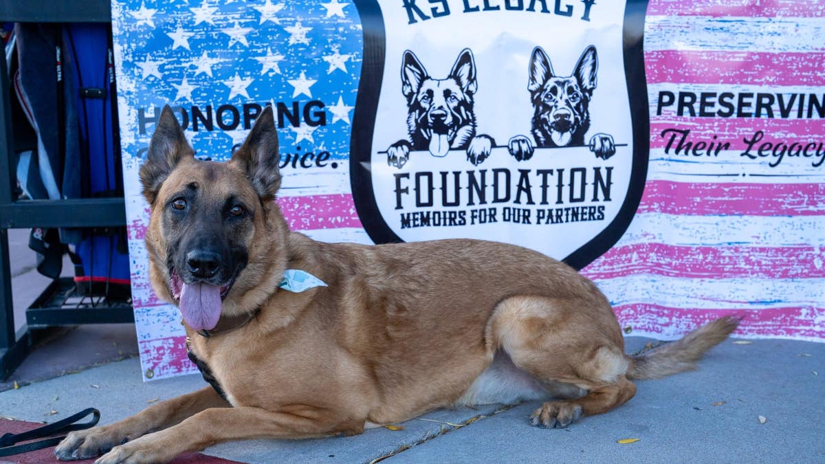 police or military K9 at an event for K9 Legacy Foundation