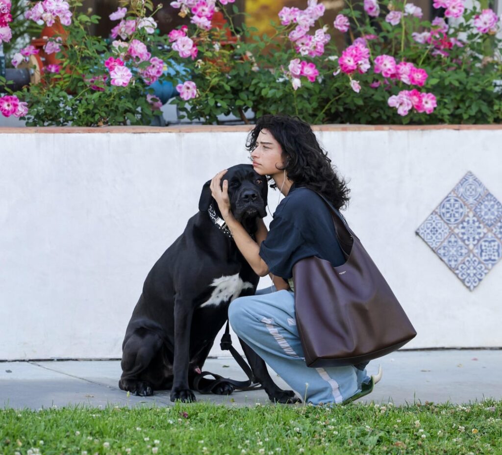 Odessa A’Zion in Los Angeles (7 April 2026)