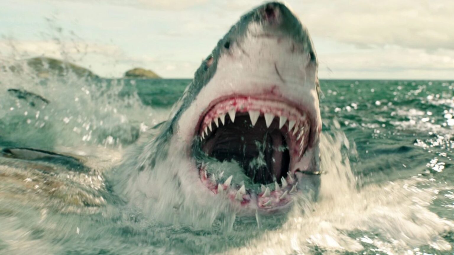 The Best Shark Movie of the Last Decade is Now on Prime Video