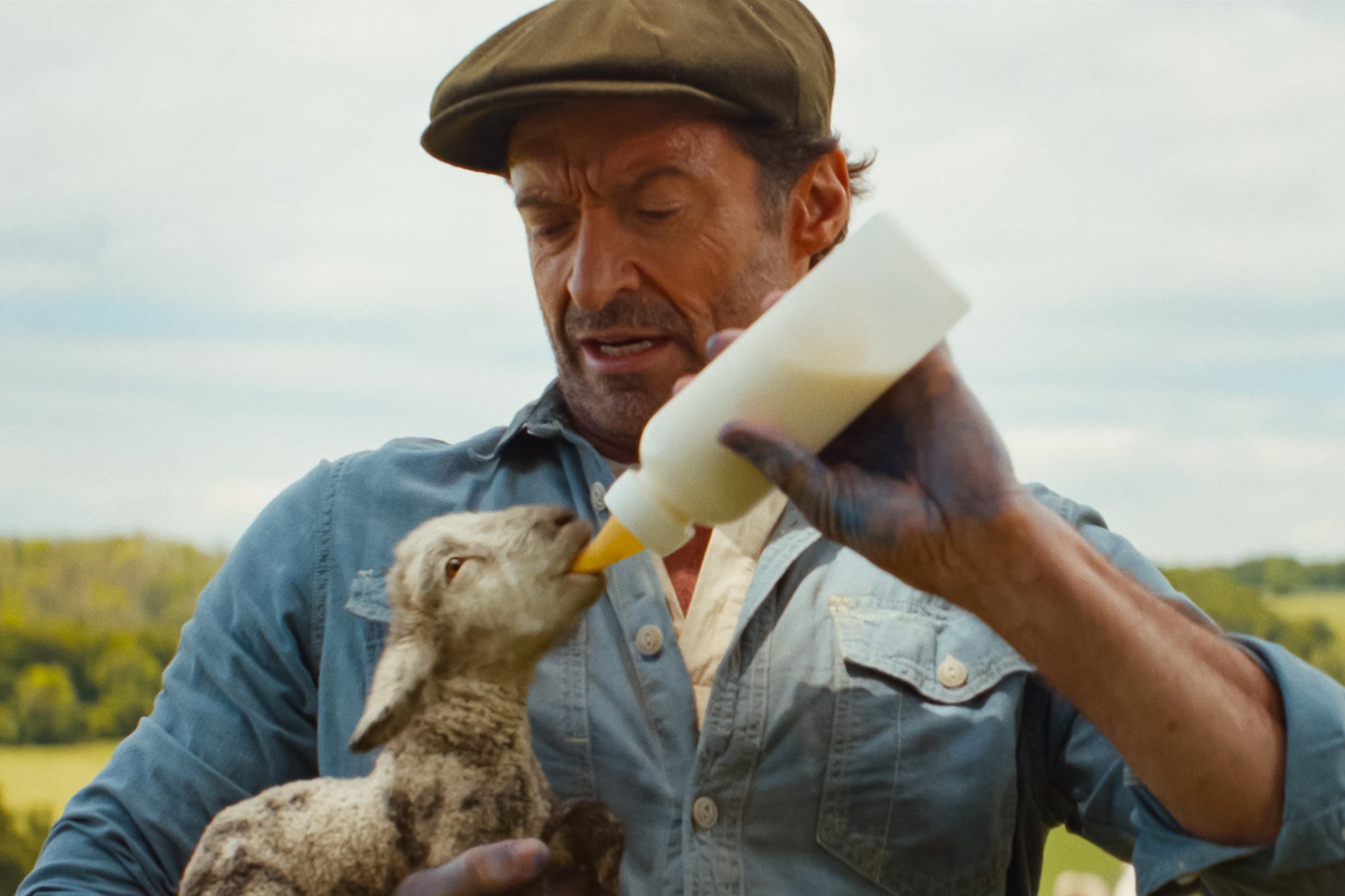 Hugh Jackman (and talking lamb) in ‘The Sheep Detectives’
