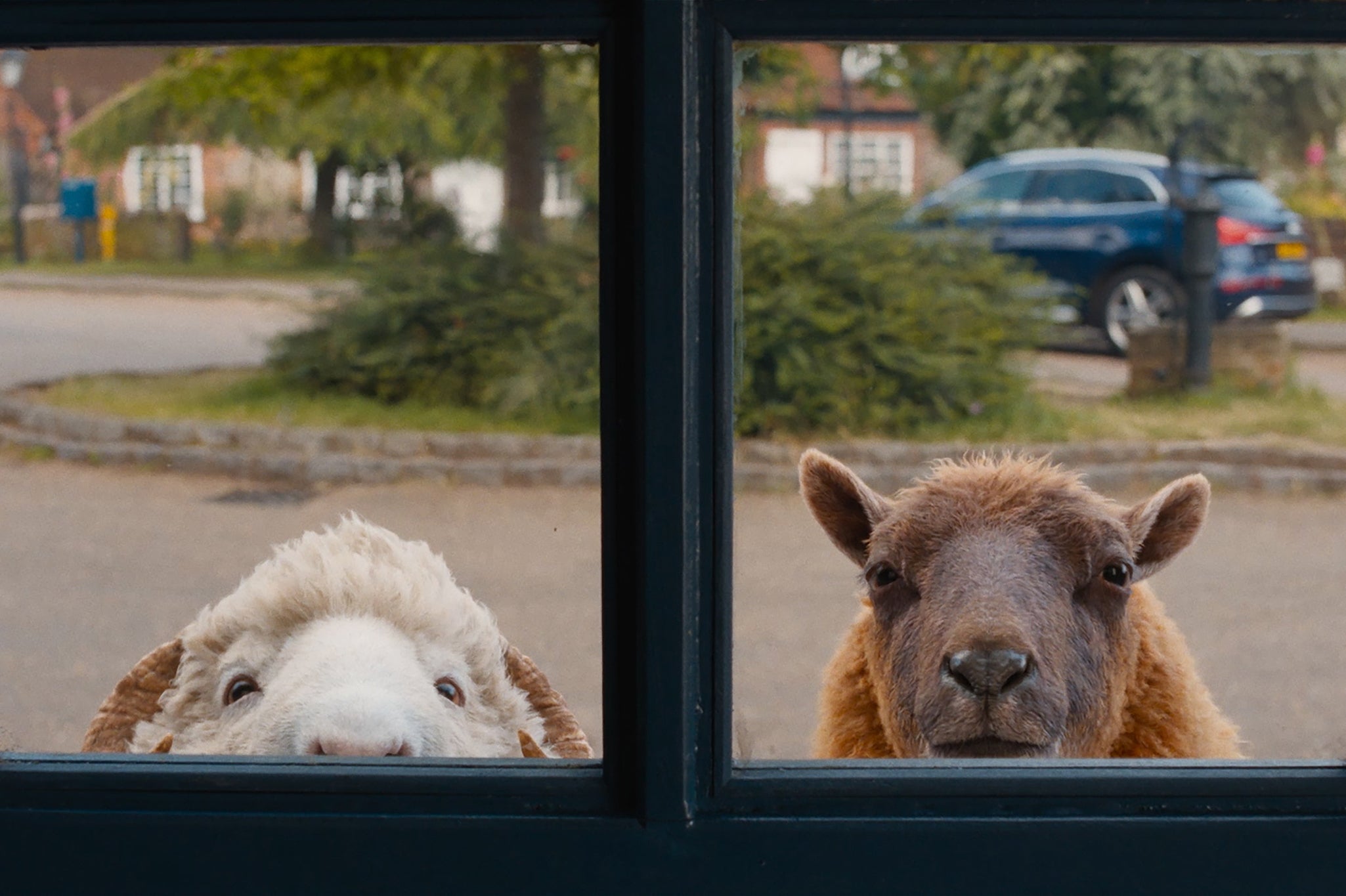 Chris O’Dowd and Julia Louis-Dreyfus lend voices to sheep in ‘The Sheep Detectives’