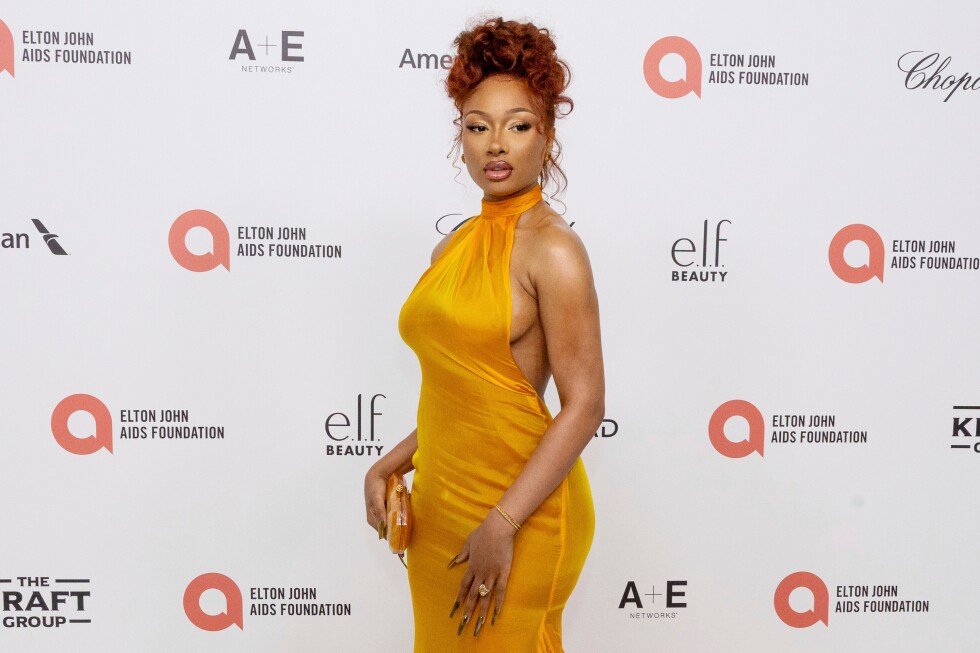 Megan Thee Stallion hospitalized after falling ill during Broadway show