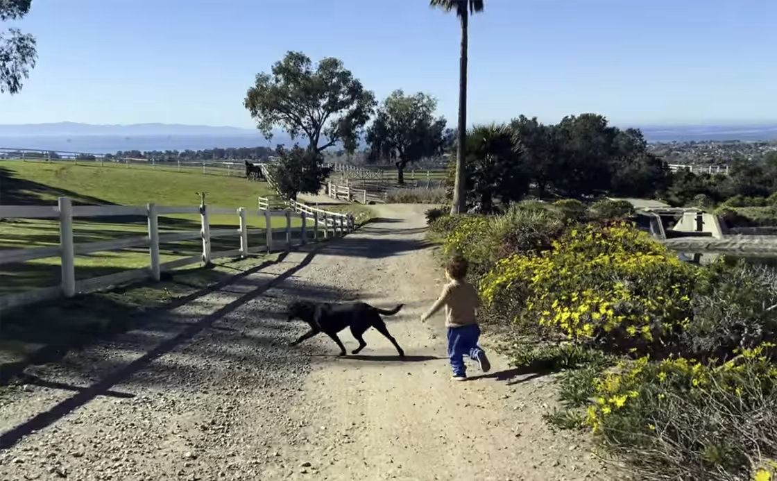 Prince Archie running behind a black lab on a dirt road