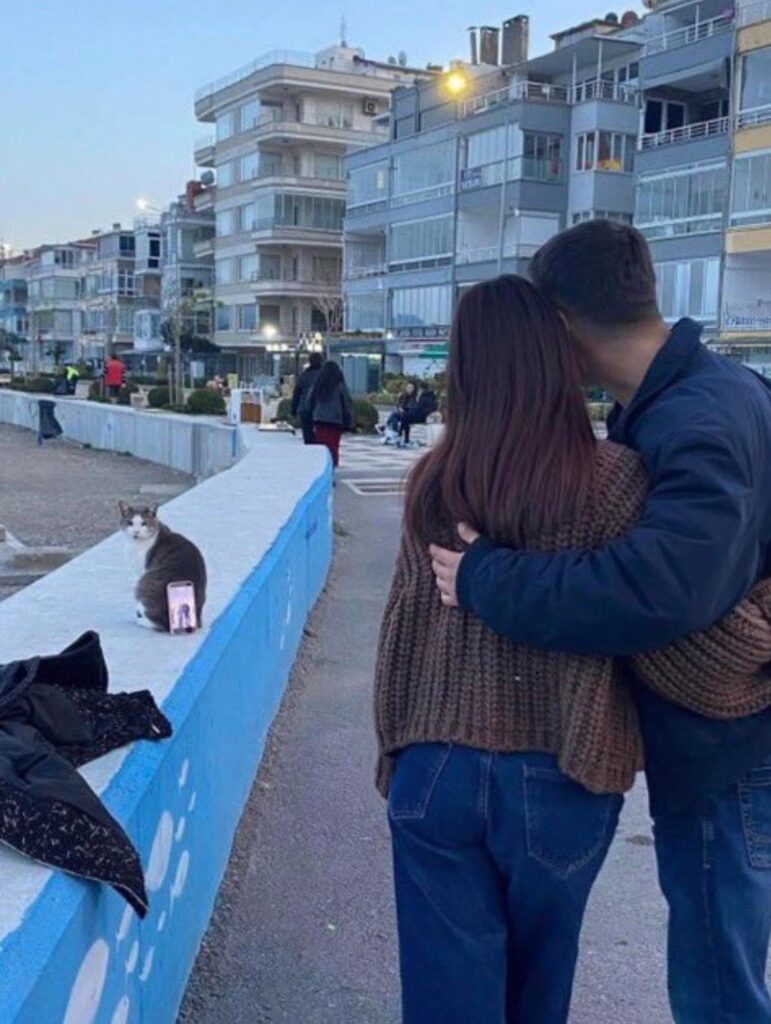 Cat as a tripod 🙀