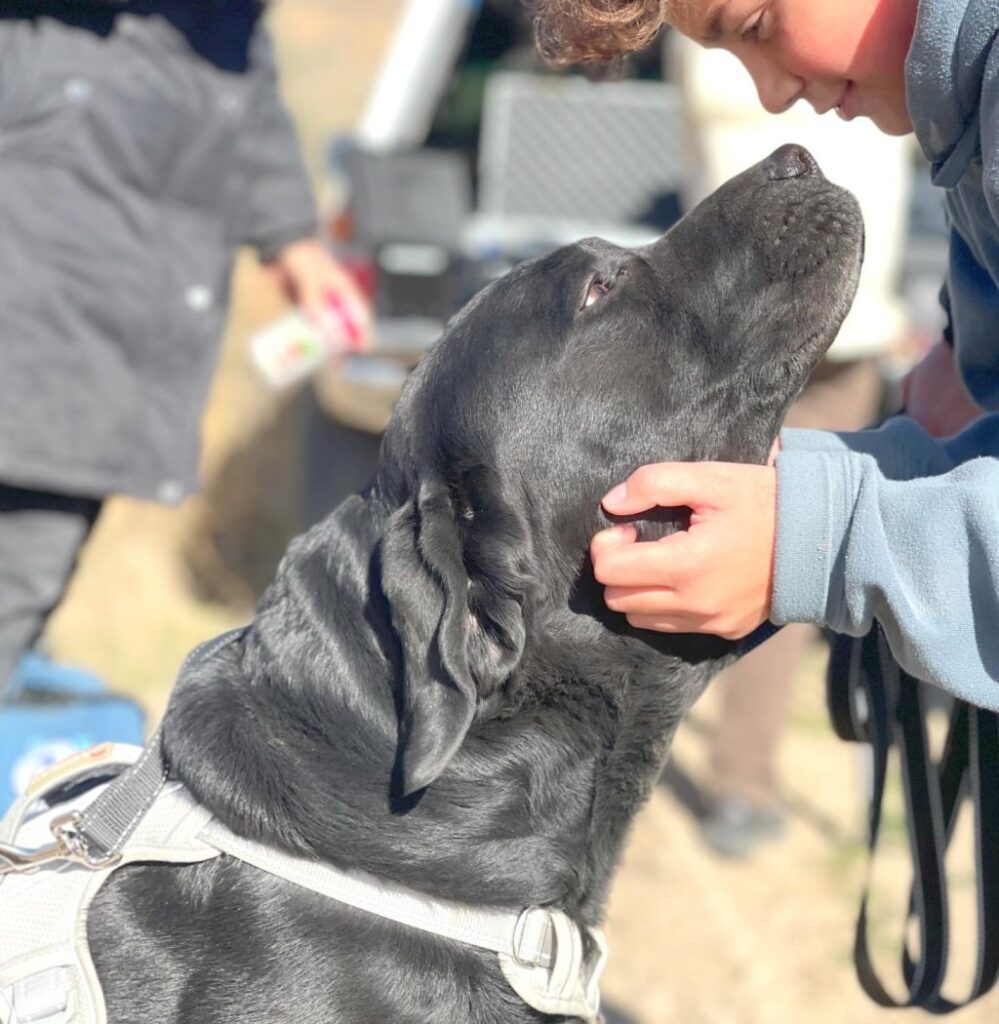 Hero Dog's Life-Saving Career Documented In 'Zzaslow K-457'