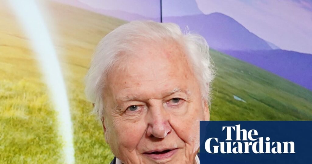 ‘The greatest ambassador for life on Earth’: Tributes paid to David Attenborough on his 100th birthday | David Attenborough