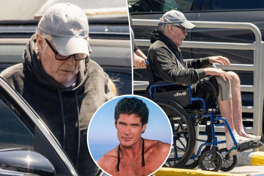 David Hasselhoff sparks concern as he's seen in wheelchair