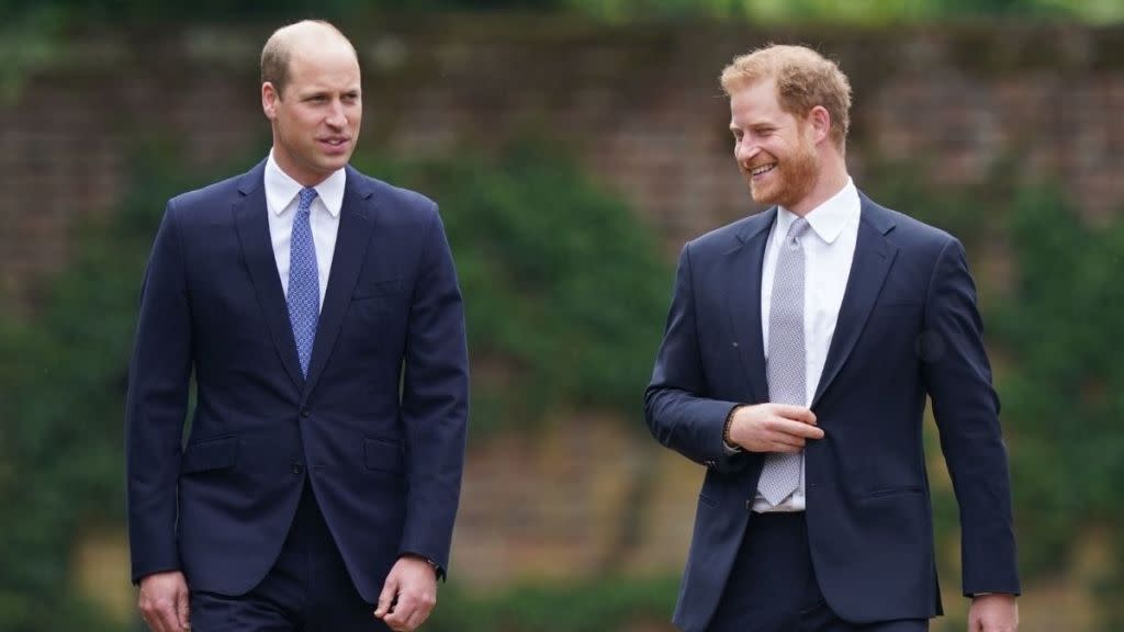 Prince Harry, Prince William