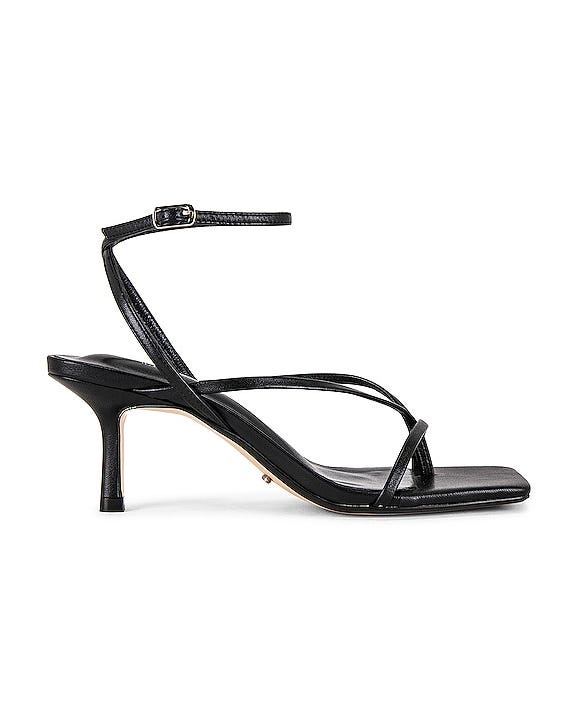 Avi Sandal