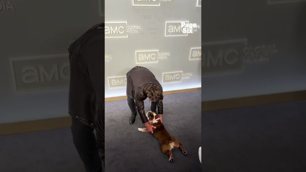Dennis Quaid’s dog, Peaches, stealing the show at AMC’s Global Upfront #shorts