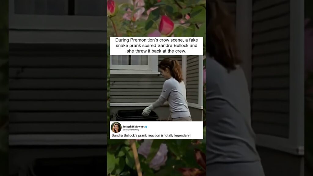Sandra Bullock Pranked by Fake Snake on Set