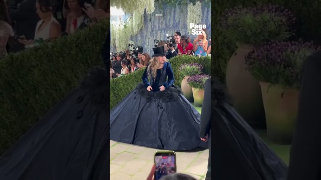 Stevie Nicks made a grand entrance at the 2026 Met Gala 🎩 #shorts