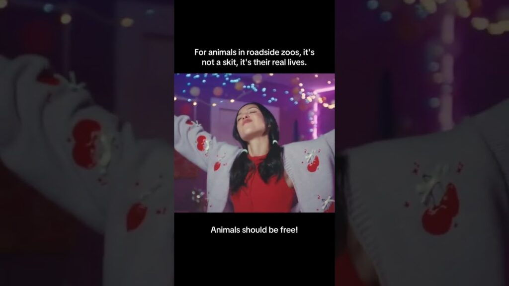 💜 @OliviaRodrigo and @SaturdayNightLive gave “life behind glass” the déjà vu treatment.