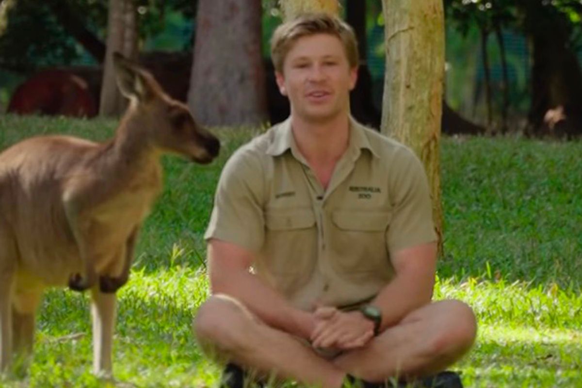Rob Irwin with the kangaroo
