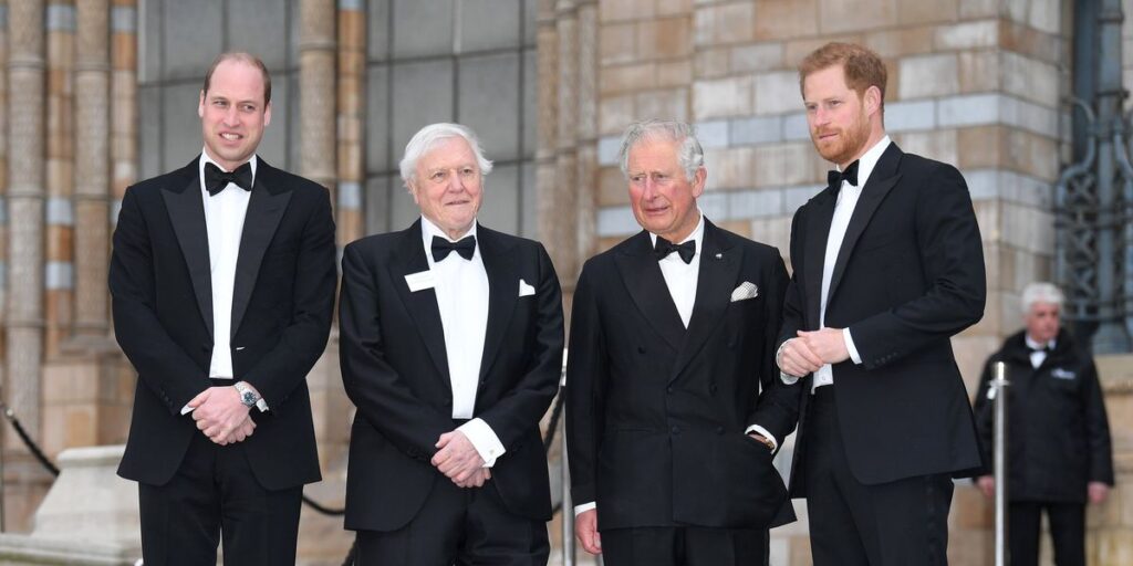 Prince Harry pays special tribute to Sir David Attenborough ahead of 100th birthday