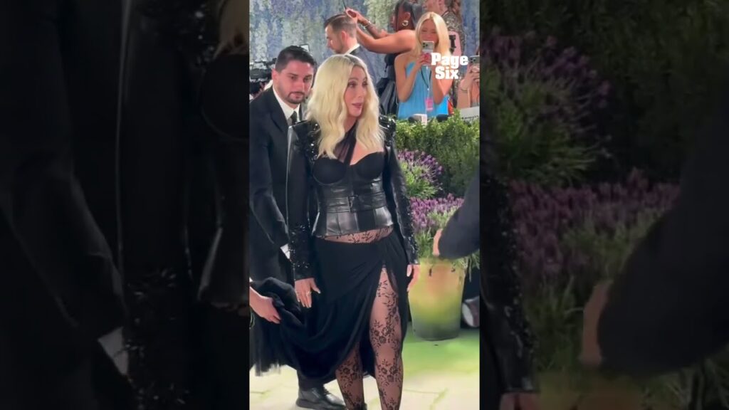 Cher wore an edgy look to the 2026 Met Gala 🖤 #shorts