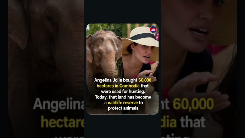 ￼Angelina Jolie purchased 60,000 hectares (roughly 148,000 acres) of former, high-poaching hunting