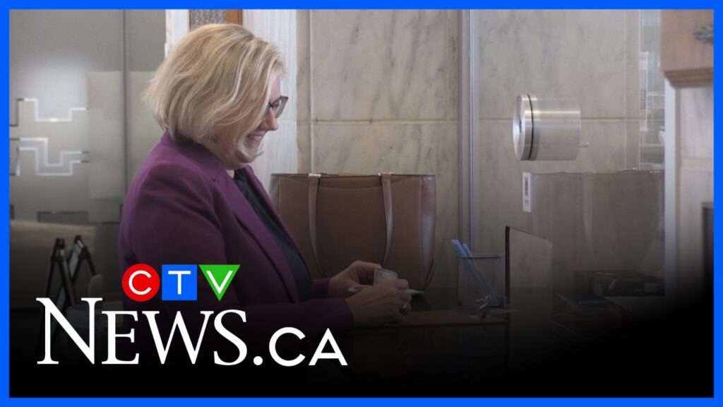 Coun. Susan Stevenson to run for mayor of London