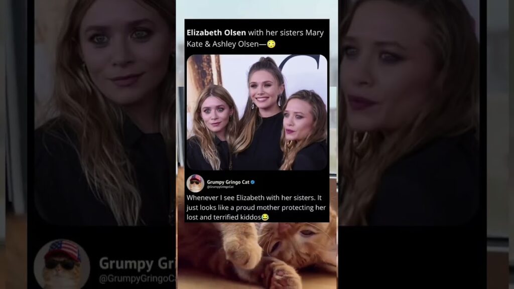 why do they look so scared though?elizabeth olsen is mothering |funny memes |dank memes |viral memes