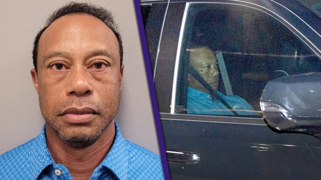Tiger Woods Returns to US After Rehab Stint in Zurich Amid DUI Case Tiger Woods Returns to US After Rehab Stint in Zurich Amid DUI Case