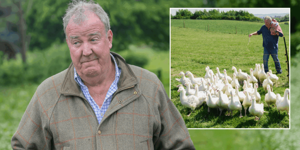 Jeremy Clarkson concedes ‘there’s no point’ as he confirms halt to ‘real farming’ at Diddly Squat: ‘Impossible to make money!’ Jeremy Clarkson concedes 'there's no point' as he confirms halt to 'real farming' at Diddly Squat: 'Impossible to make money!'