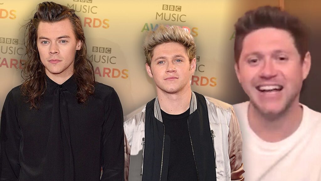 Niall Horan WON’T Go to Harry Styles and Zoë Kravitz’s Wedding Niall Horan WON'T Go to Harry Styles and Zoë Kravitz’s Wedding